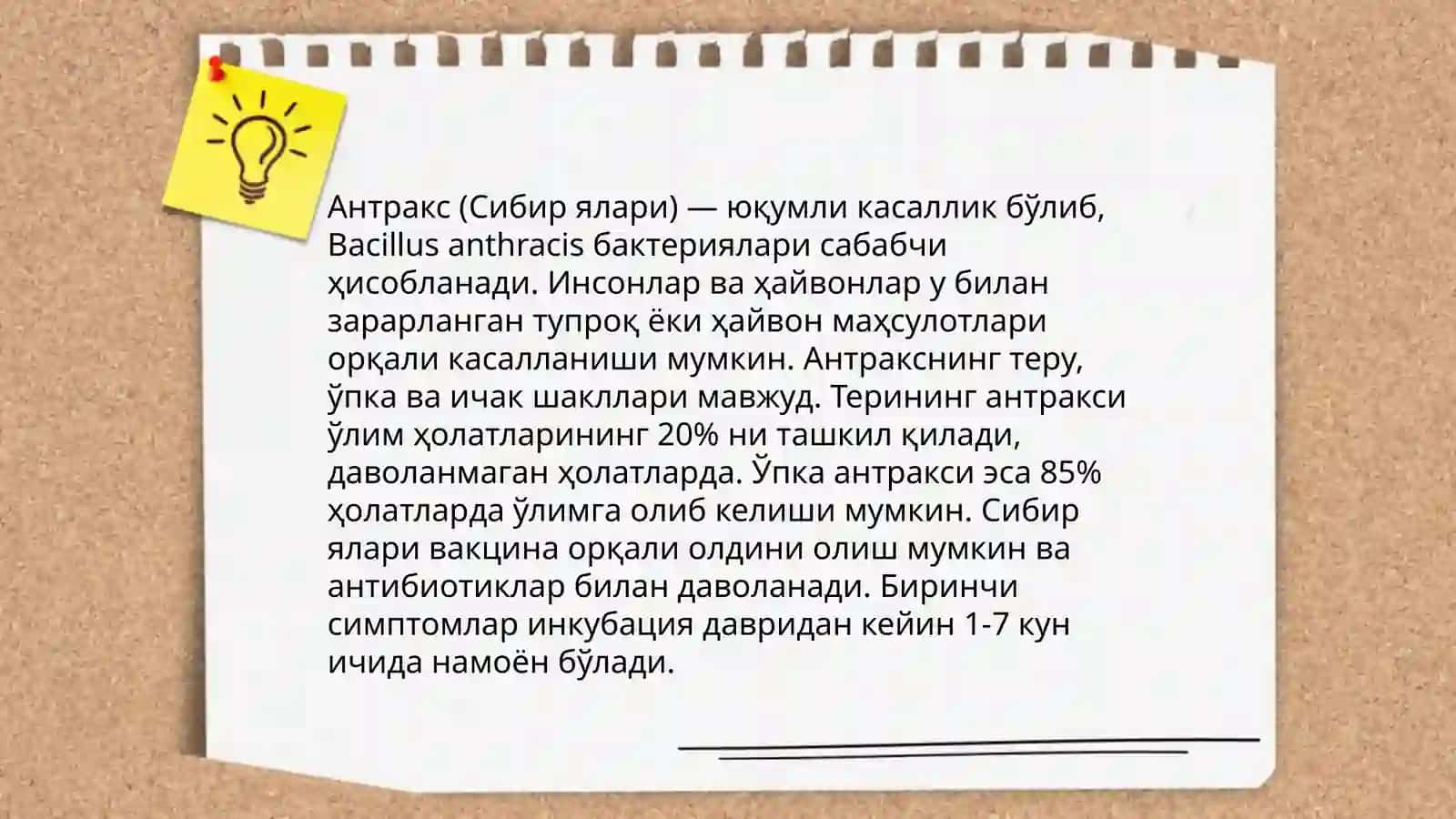 Антракс (Сибир ялари) 3