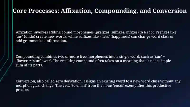 Word formation 3