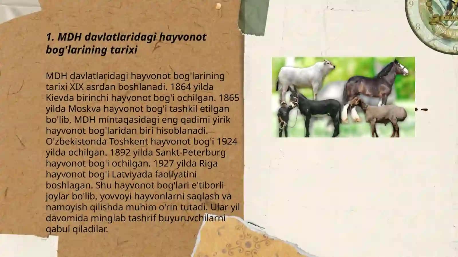 MDH va jahonning hayvonot boģlari 3