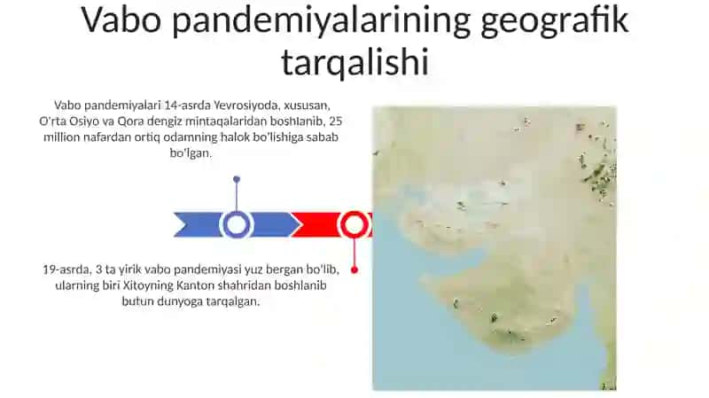 Vabo pandemiyalari 3