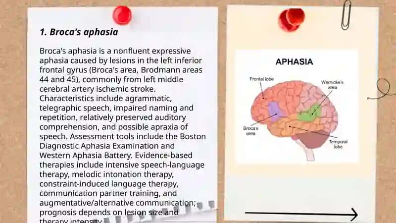 Aphasia, types and therapy 3