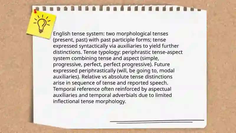 Typology of grammatical categories 3