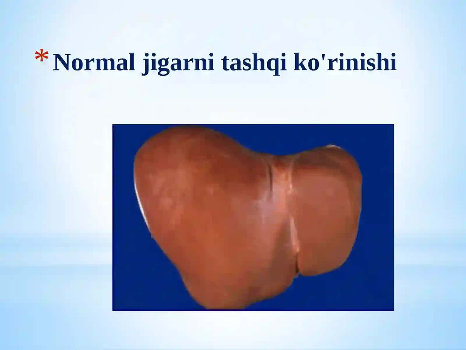 Jigar 3