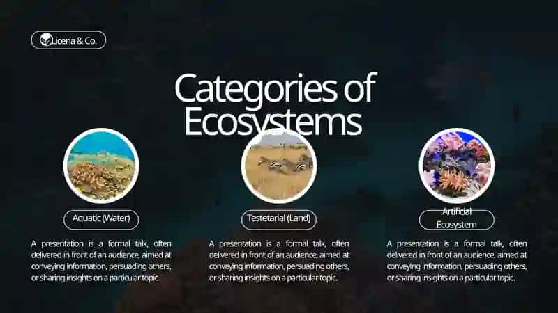 What Is Ecosystem? 3