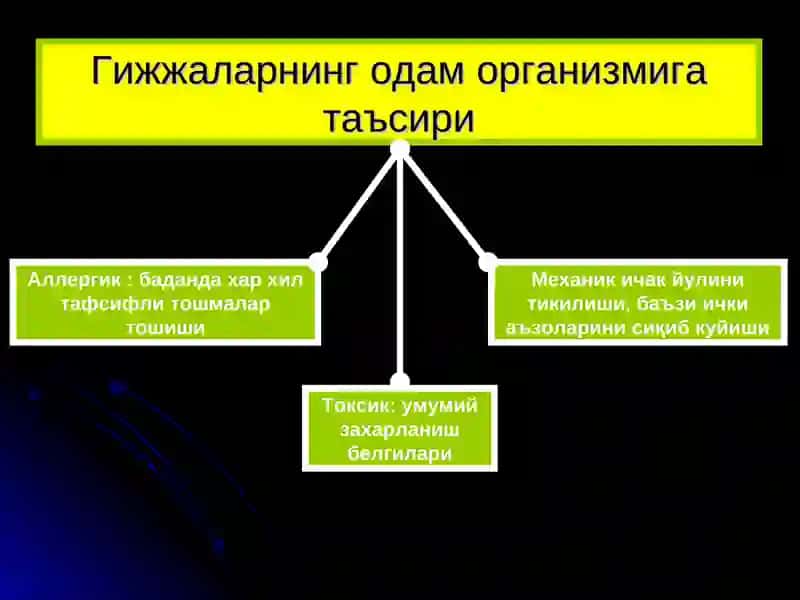 ГИЖЖА ЭНВАЗИЯСИ 3