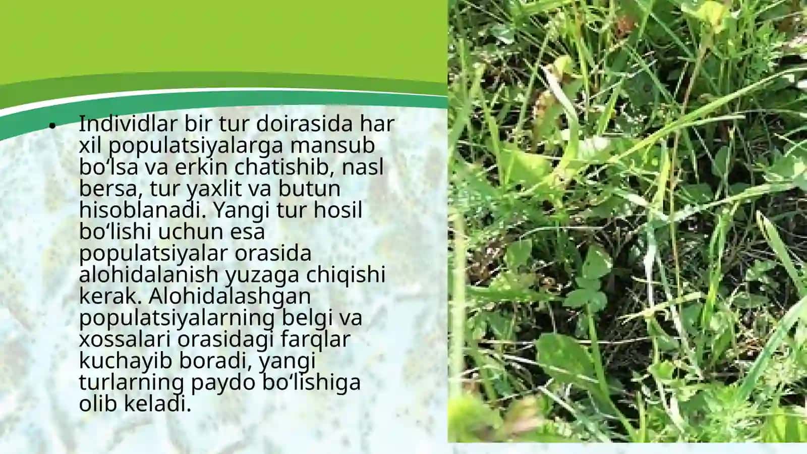 Turlarning paydobo‘lishi 3