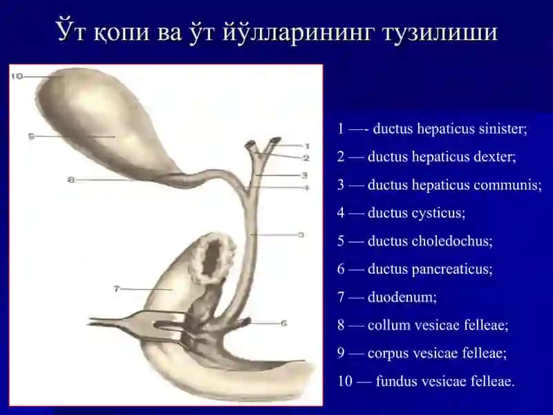 Ўткир холецистит ваунингасоратлари 3