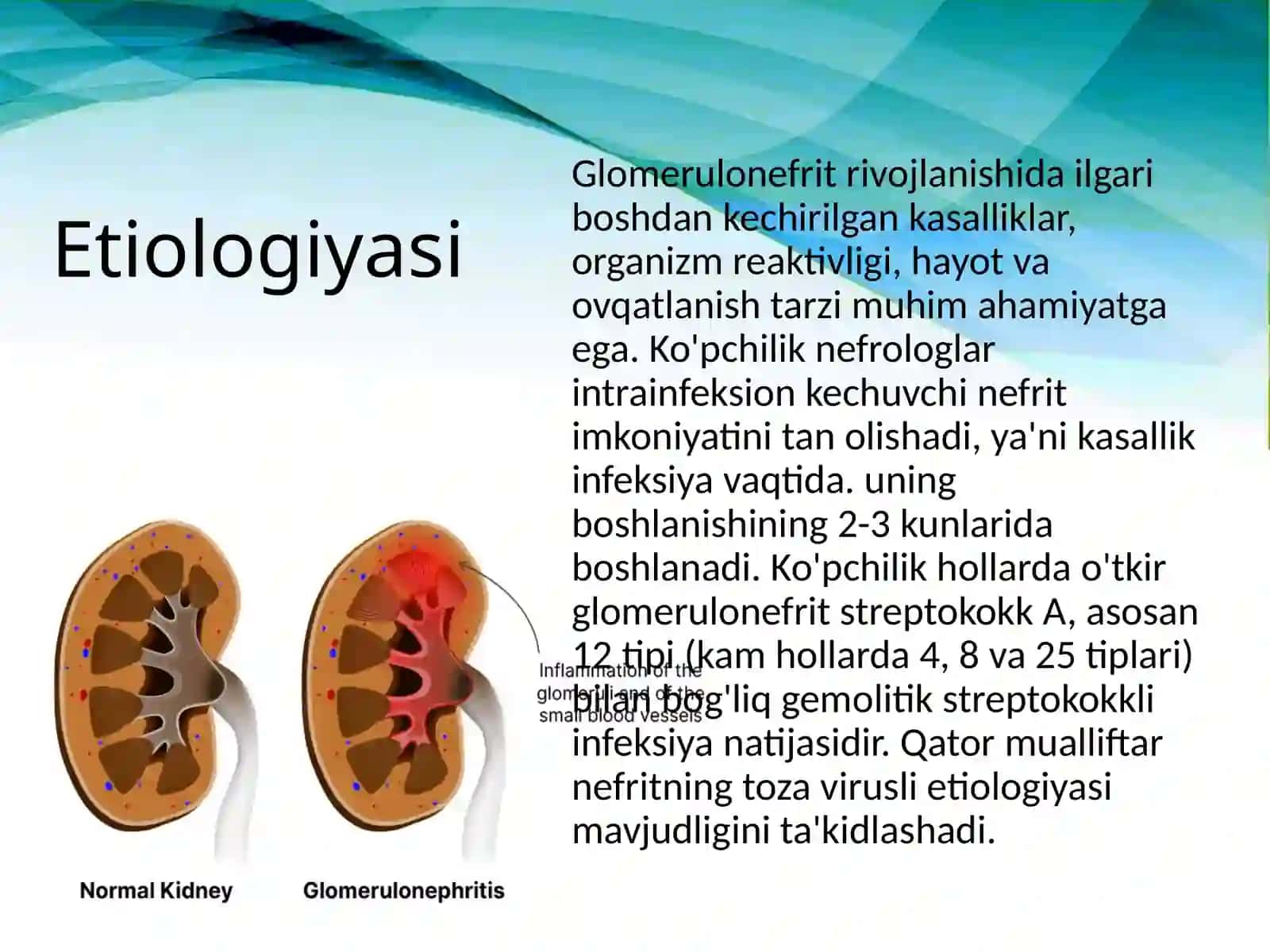 Glomerulonefrit 3