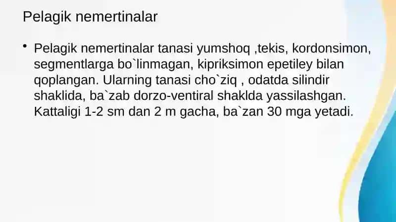 Pelagik nemertinalar 3