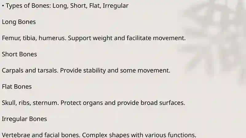 The Skeleton: A Framework of Life 3