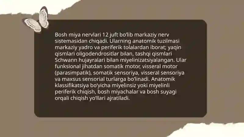 Bosh miya nervlari 3