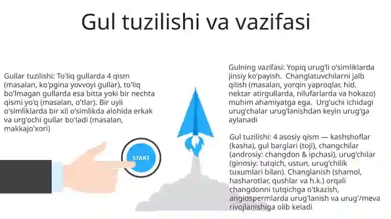 Gul qismlari 3