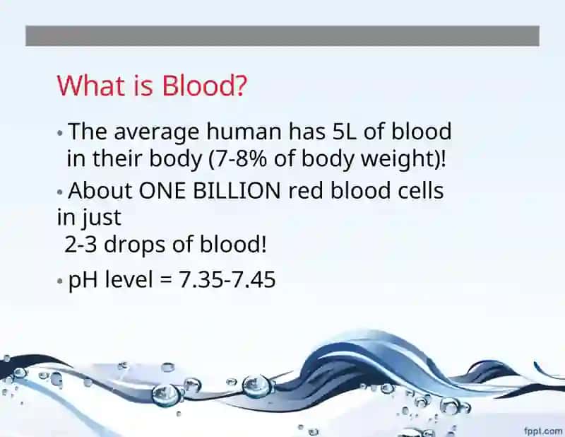 What is Blood? 3