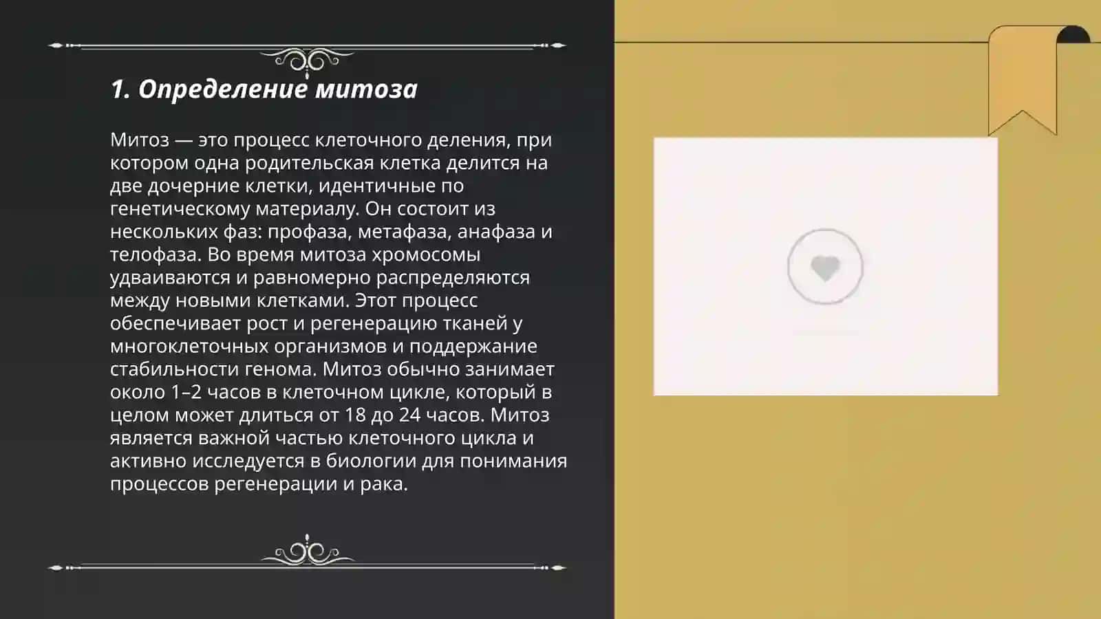 Митоз 3