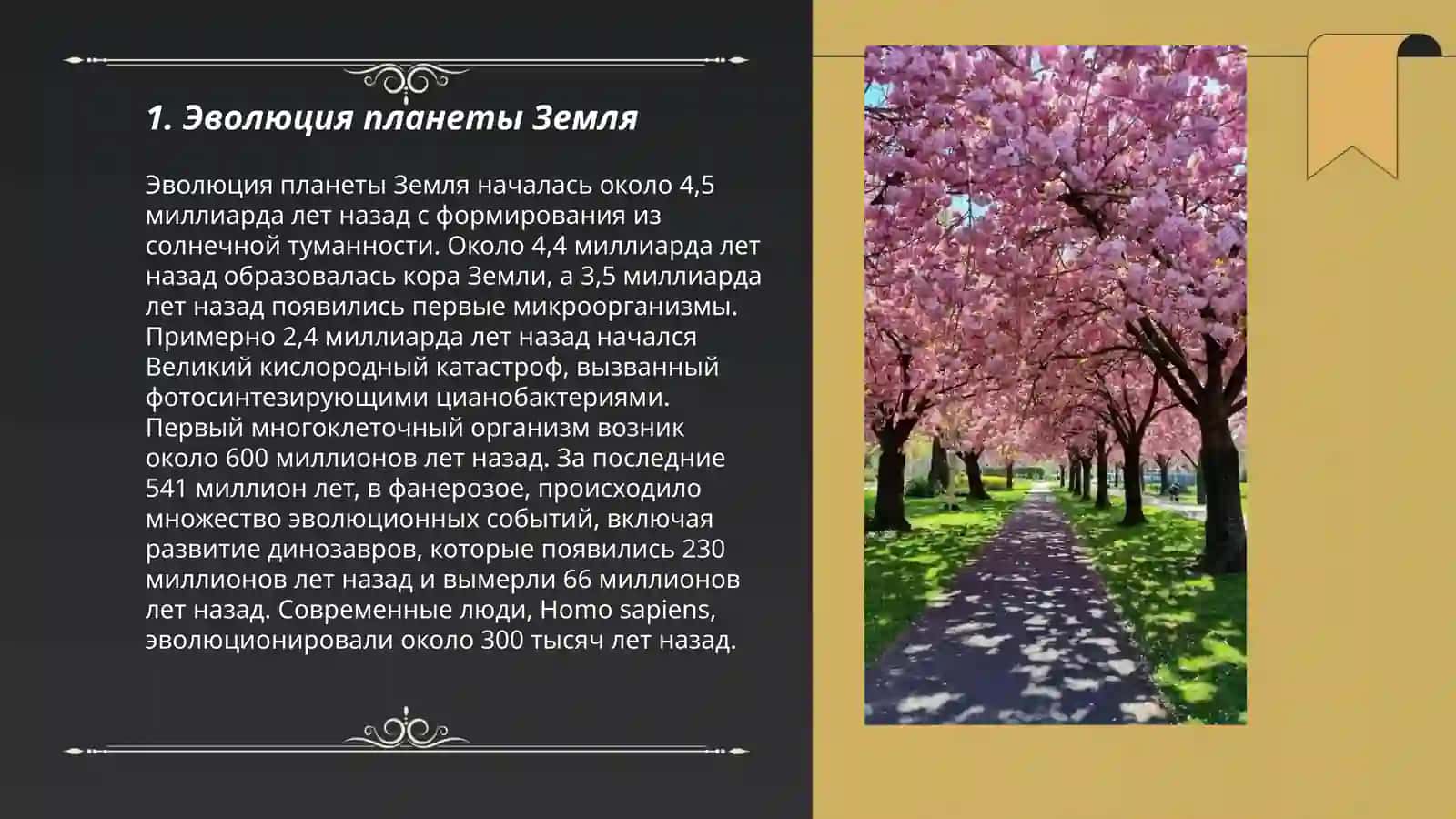 Эволюция планеты Земля 3