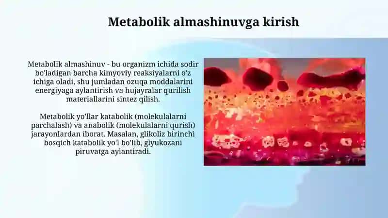 Metabolik almashinuv va fermentlar 3