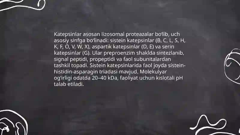 Katepsinlar 3
