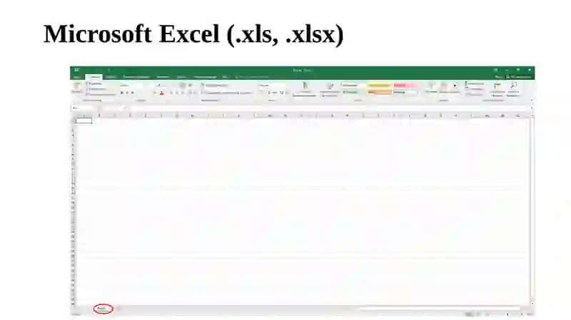 Microsoft Excel 3