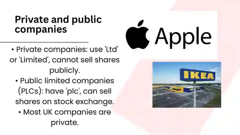 Company law 3