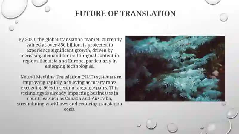 The Future of Translation 3
