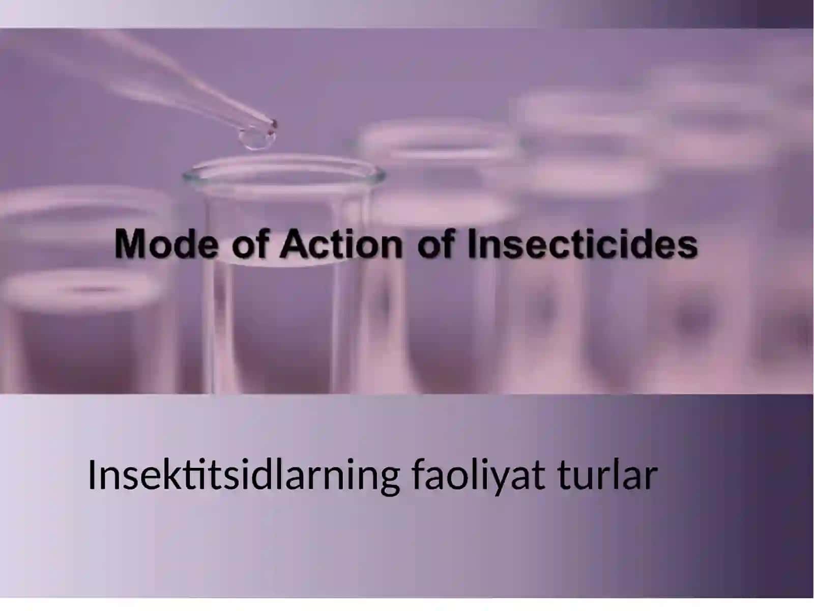 Insektitsidlarning faoliyatturlari 3