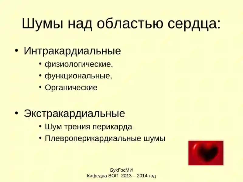 Шумы сердца 3