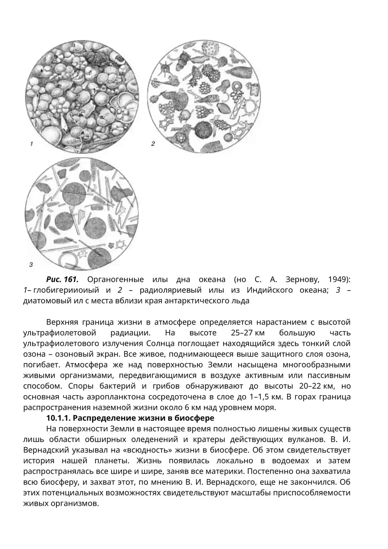Биосфера 3