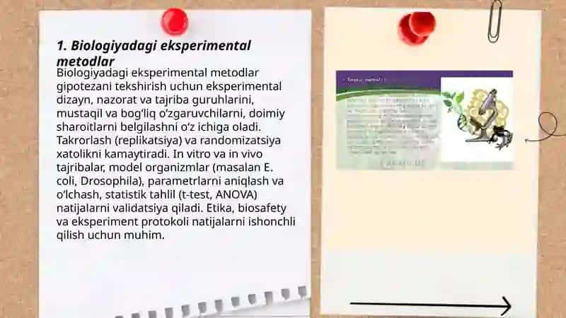 Bialogiyadagi eksperimental metodlar 3