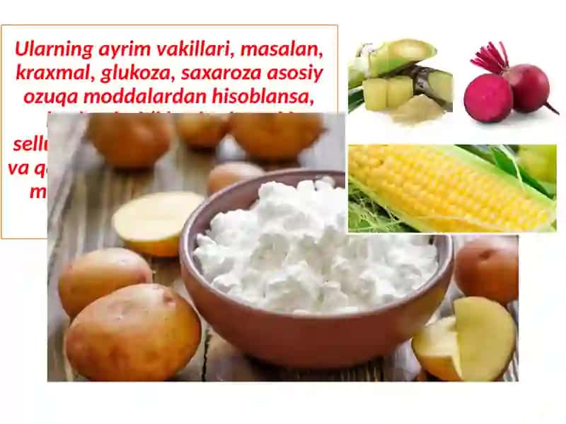 Uglevodlar 3