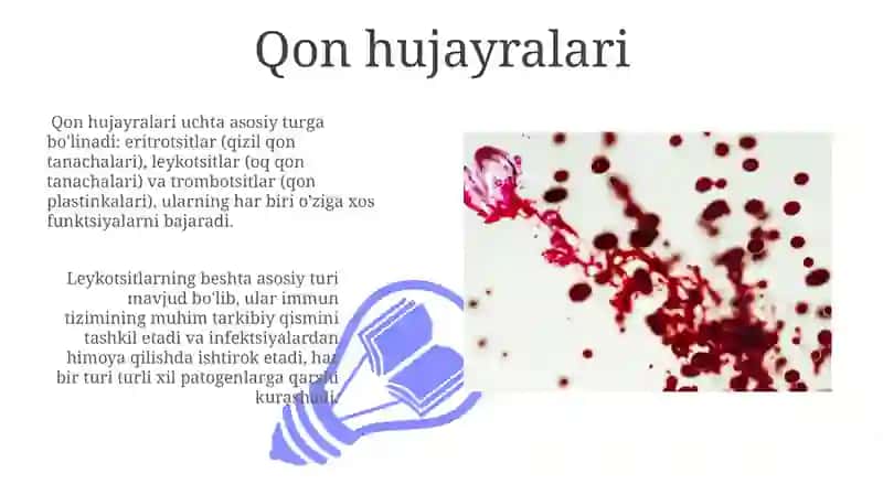 Qon va limfa 3