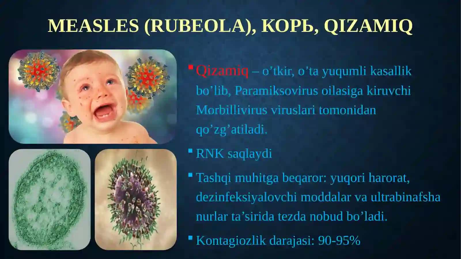 QIZAMIQ 3