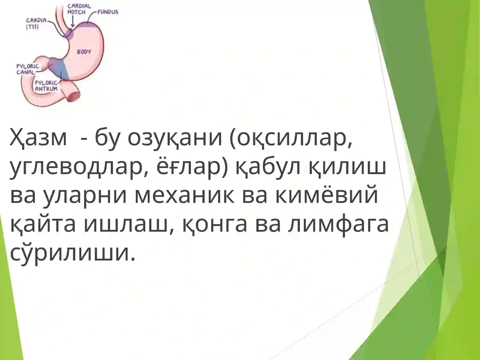 Хазм ва унинг турлари 3