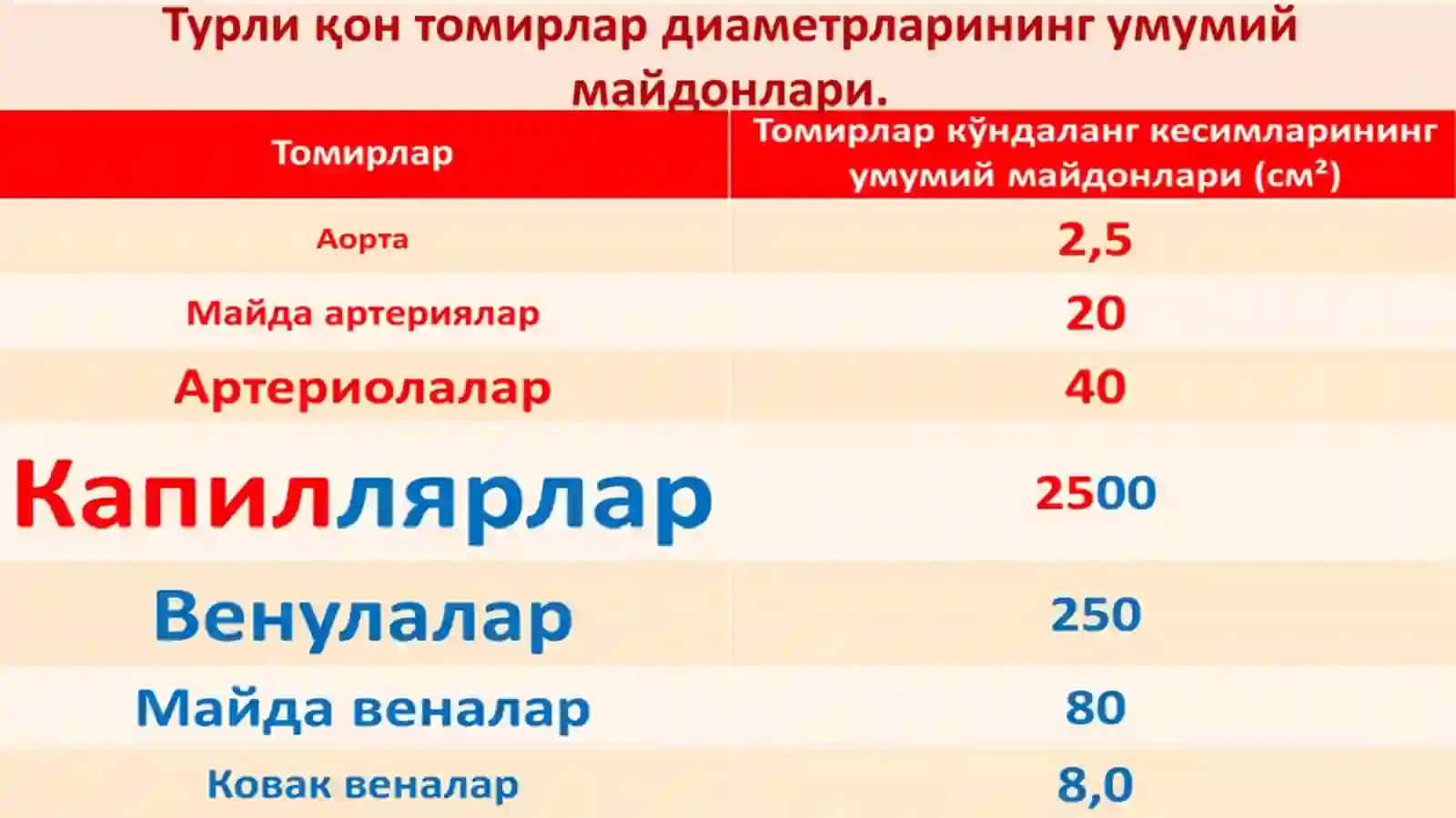 Гемодинамика асослари 3
