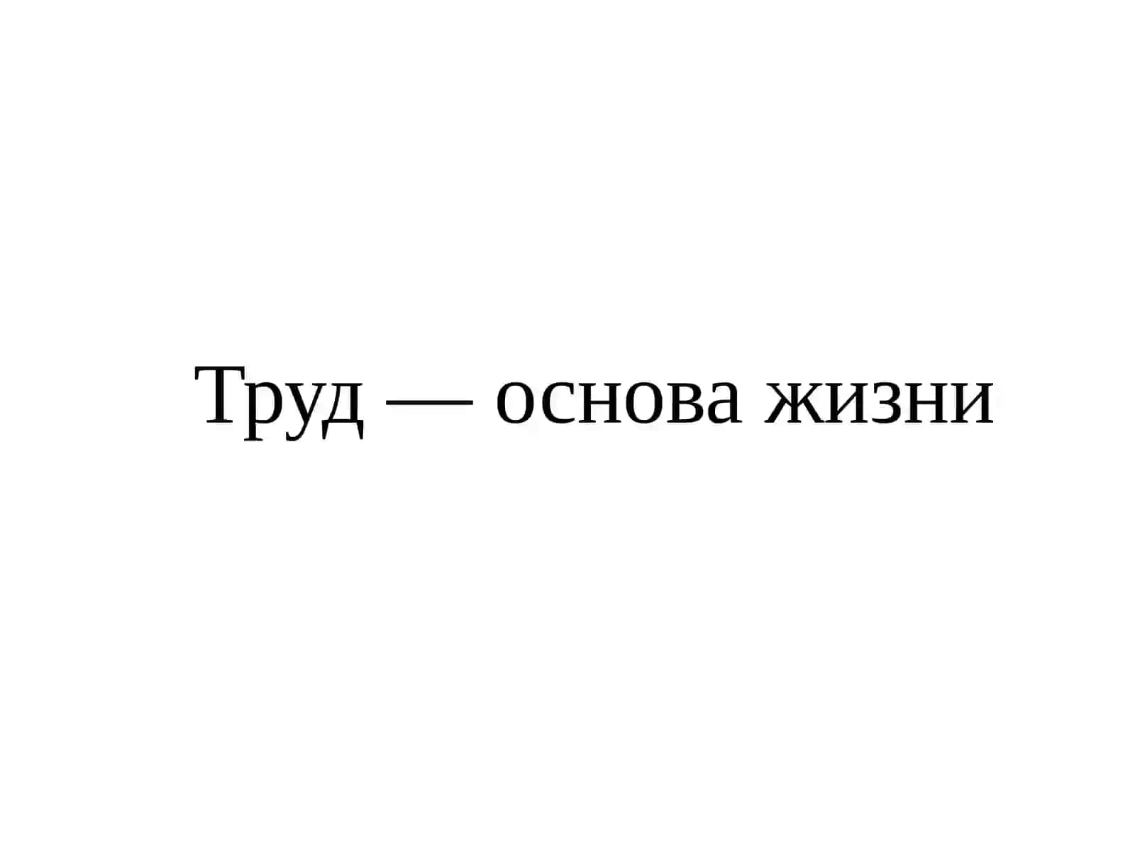 Труд — основа благополучия 3