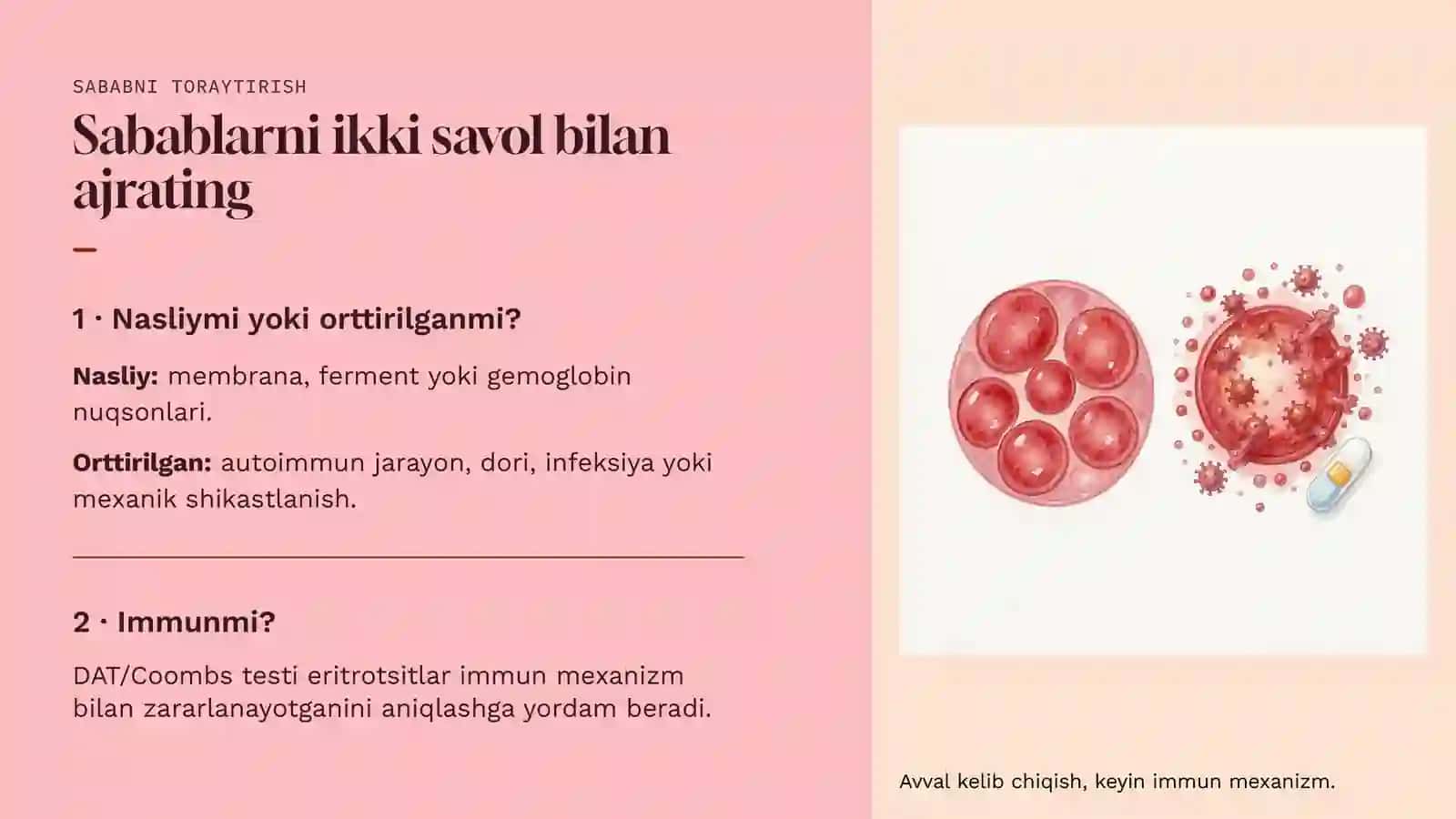 Gemolitik anemiyalar 3