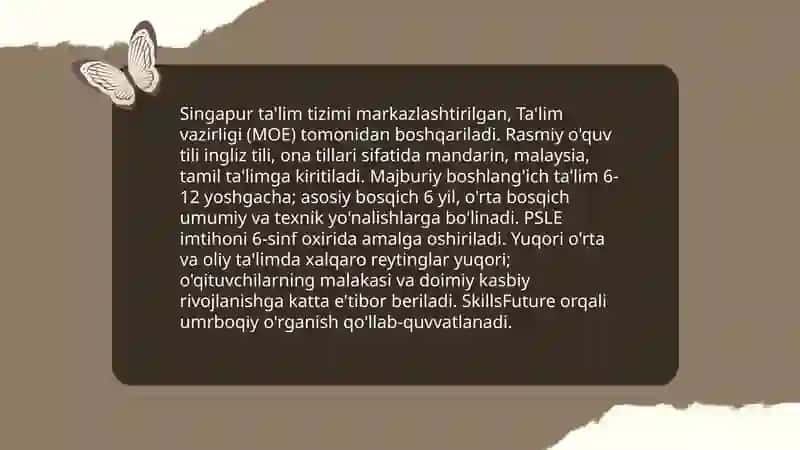 Singapur ta'lim tizimi 3