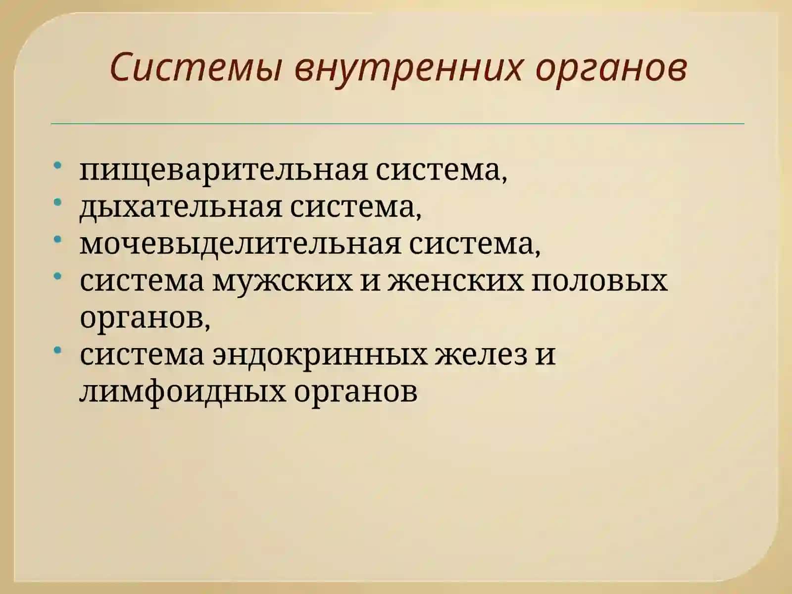 Спланхнология 3