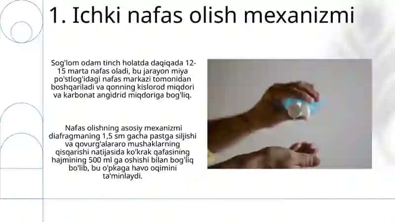 Nafas fiziologiyasi va gigiyenasi 3