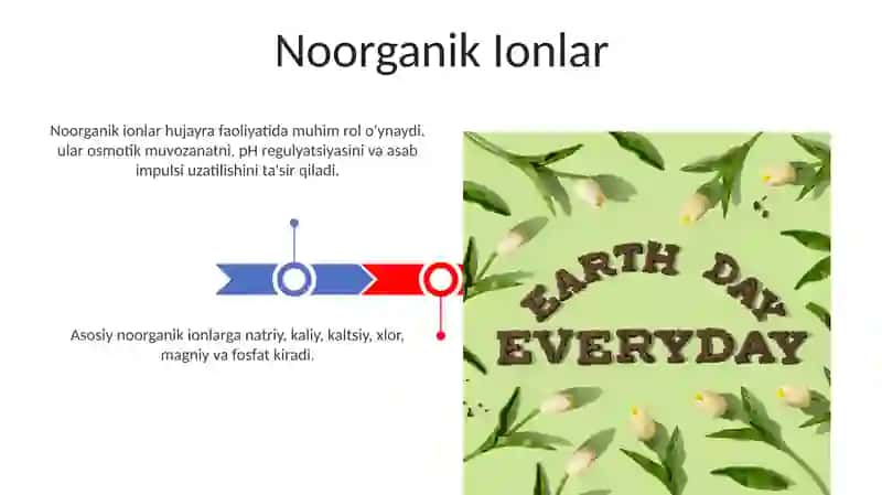 Hujayraning kimyoviy tarkibi 3