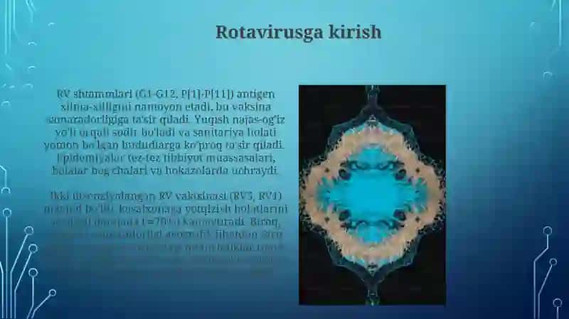 Rotavirus 3