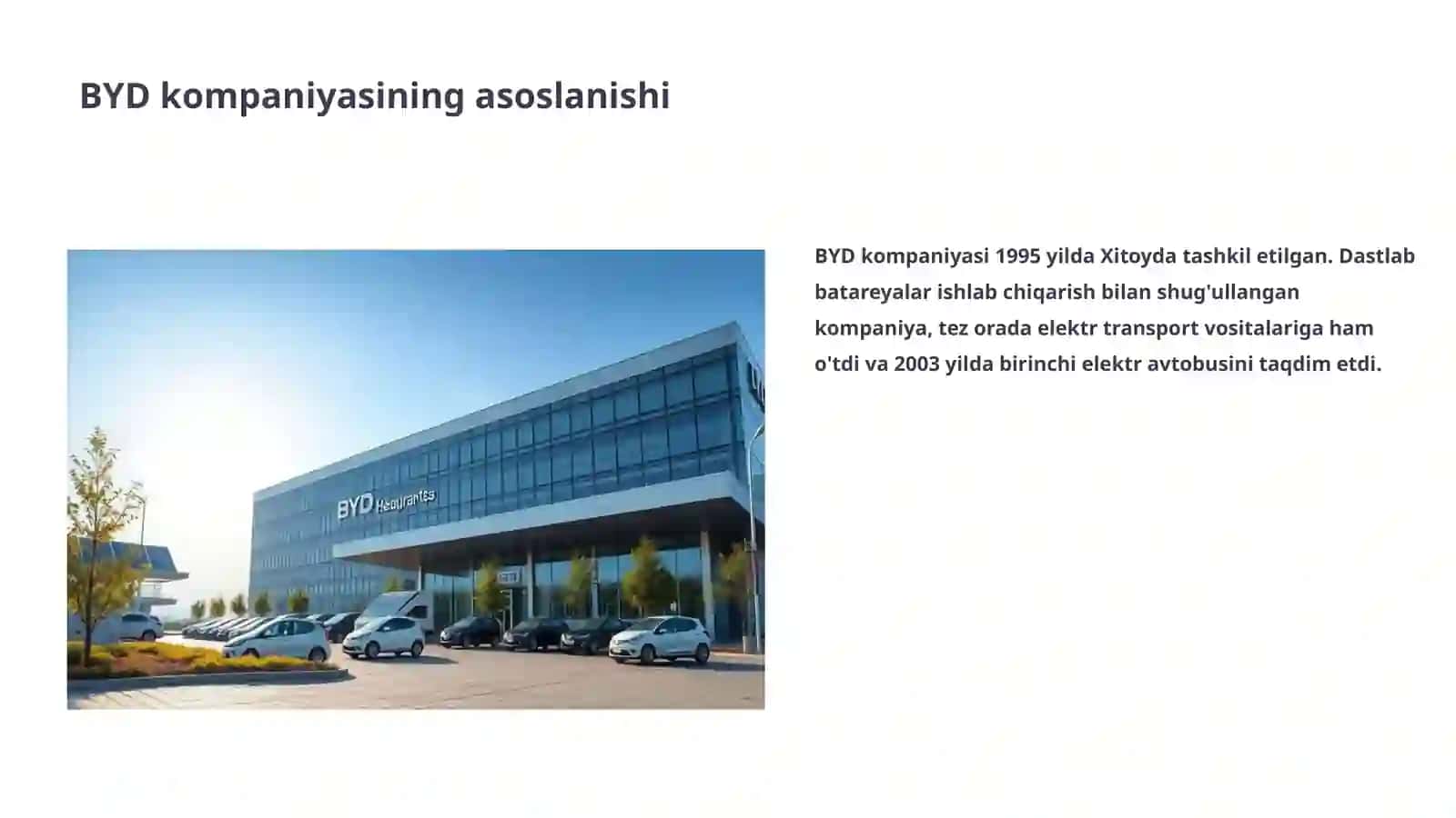 BYD KOMPANIYASI 3