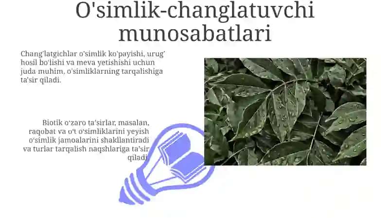Abiotik va biotik ekologik omillar va ularning tabiatda oʻsimliklarning tarqalishidagi ahamiyati 3