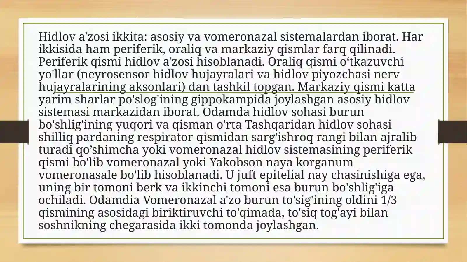 Sezgi a’zolari 3