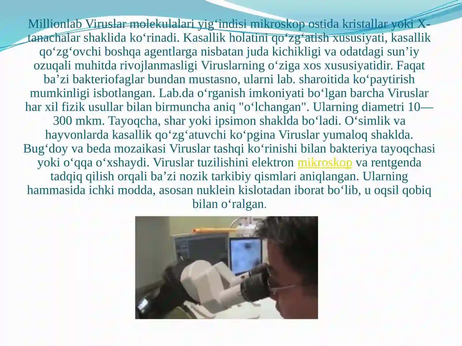VIRUSLAR STRUKTURASI 3