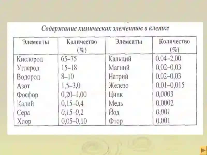 Химический состав клетки 3
