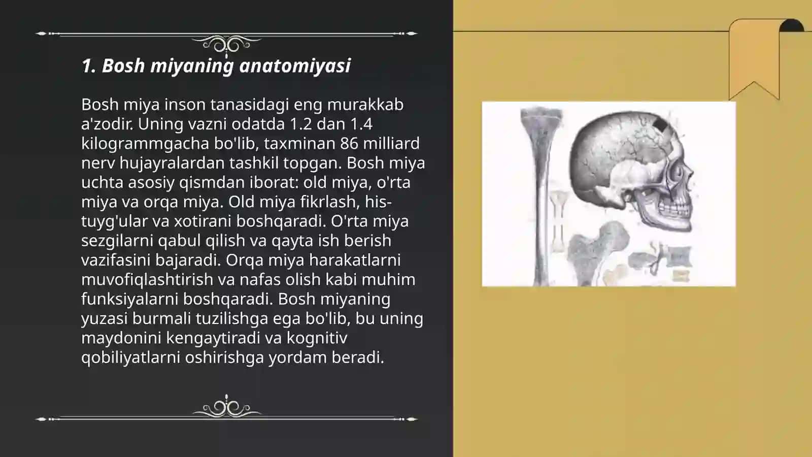bosh miya skleti 3