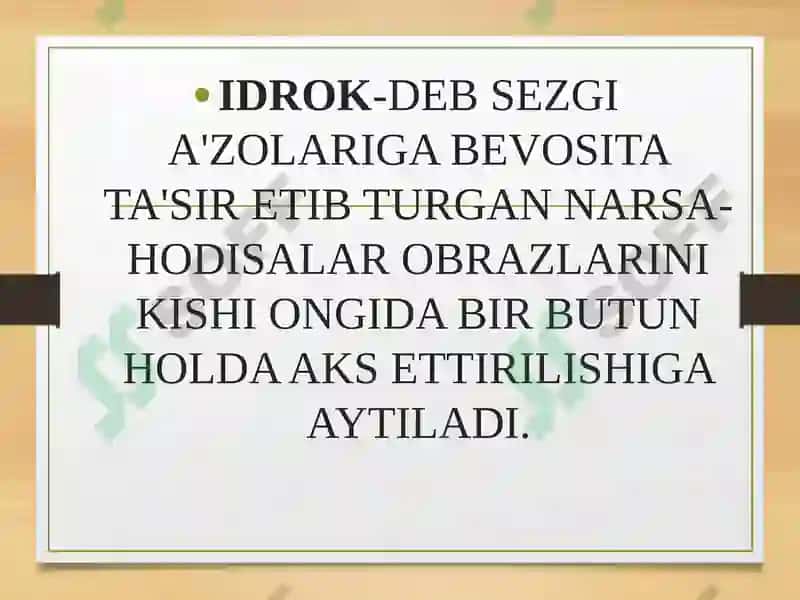 IDROK 3