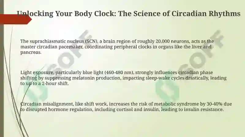 Understanding Your Body Clock 3