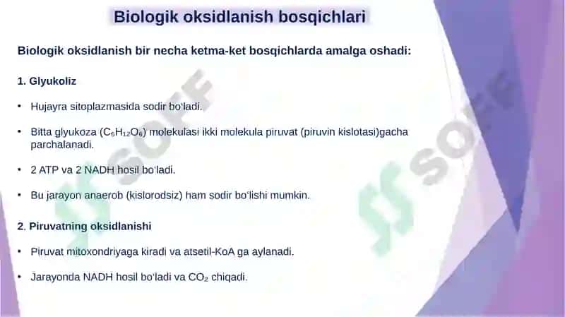 Biologik  oksidlanish 3