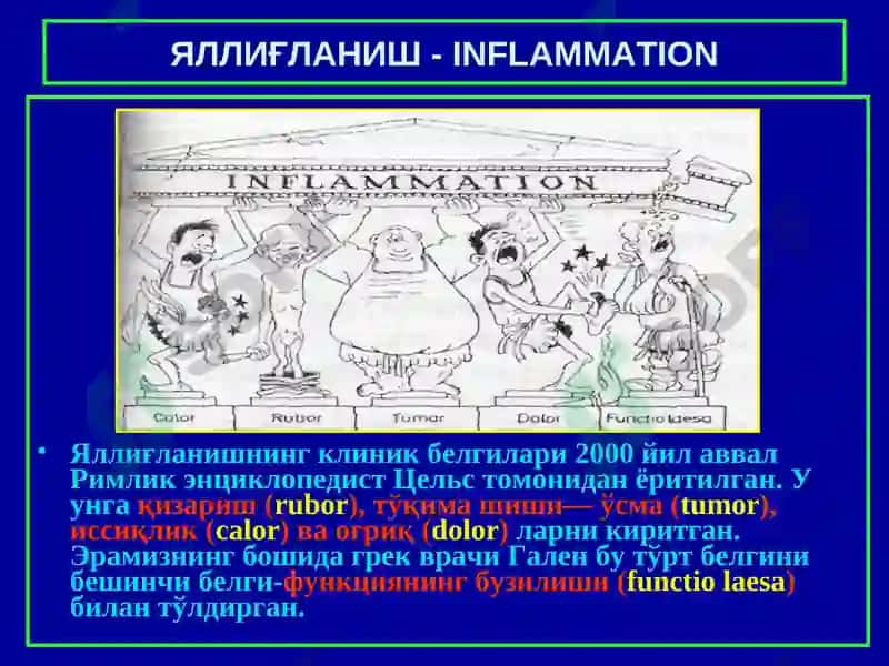 Яллиғланиш -INFLAMMATION 3